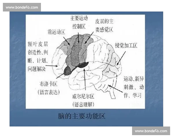 面向竞技体育的智能分析数据平台创新与应用前景研究发展趋势探索 - 副本 - 副本